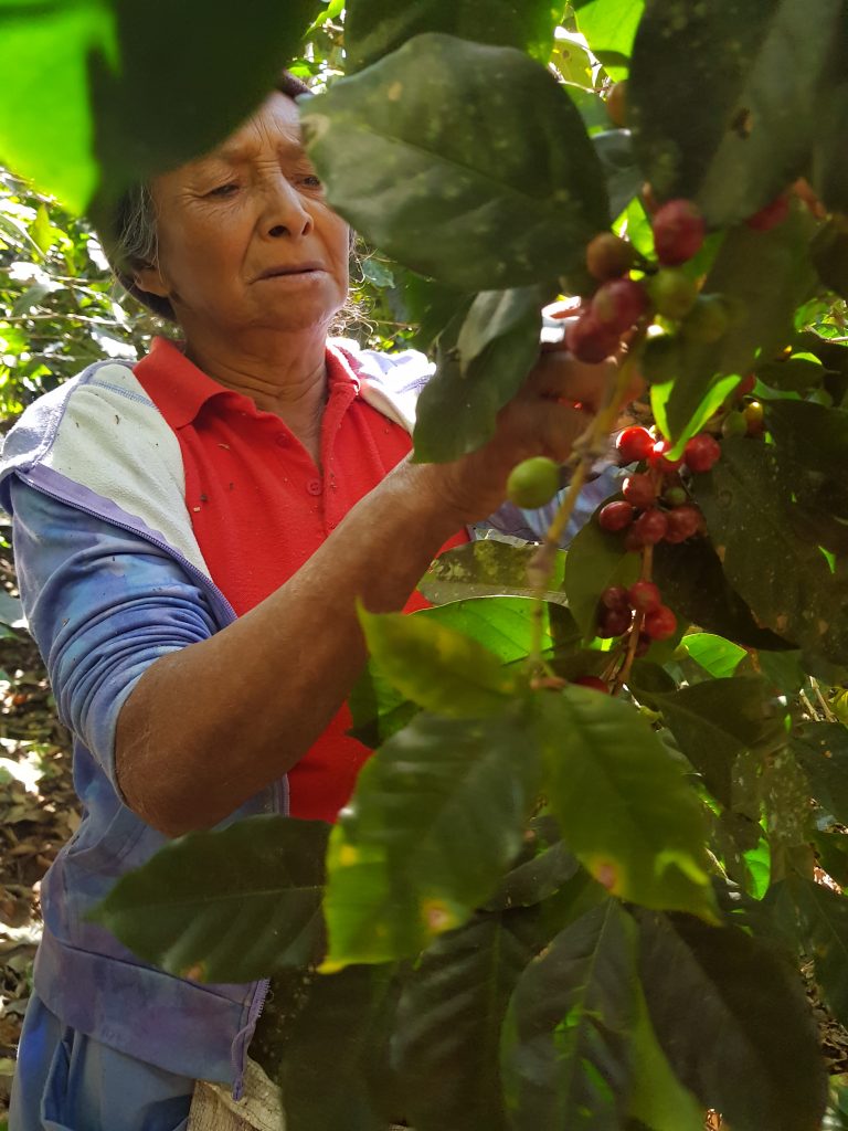 Empowering Women at Origin - Barista Magazine Online