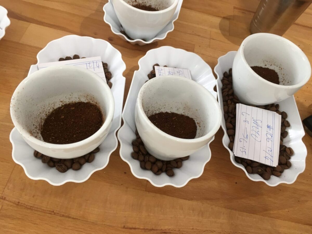 cupping-at-home-part-two-how-to-host-a-home-cupping-for-friends-and