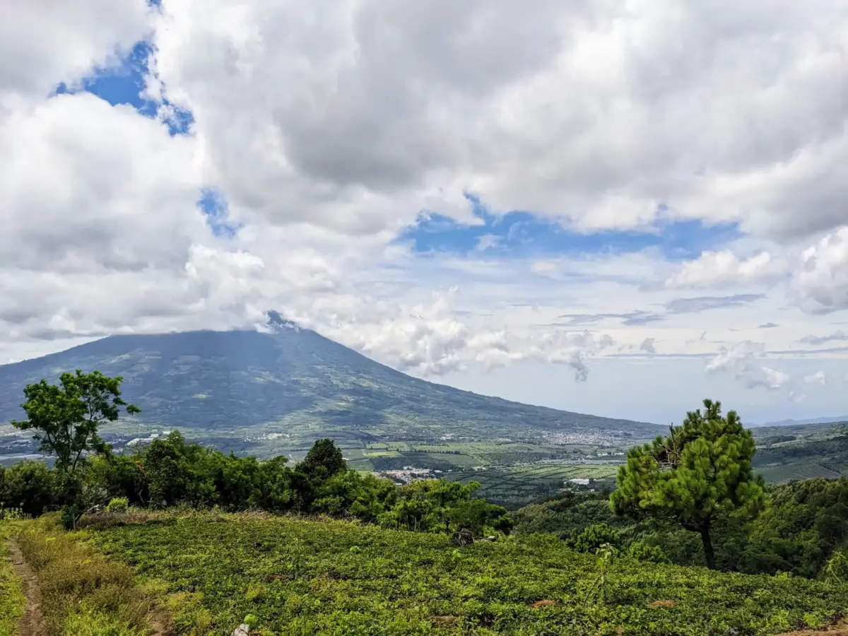 Coffee Tourism in Antigua, Guatemala: Part One