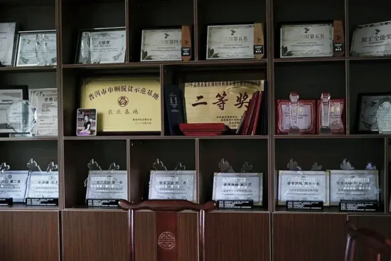 Open shelves line the walls of a room, with various awards and certificates decorating them.