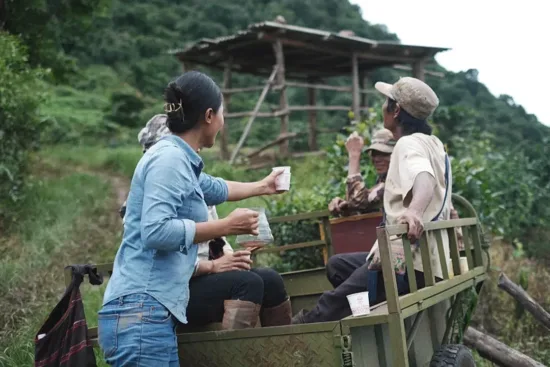 Zhao Mei hands out a paper coffee cup to a farmer in the front of a farm cart. Two other people sit in the back of the cart with coffee cups. They are on the side of a green hill covered in coffee trees.