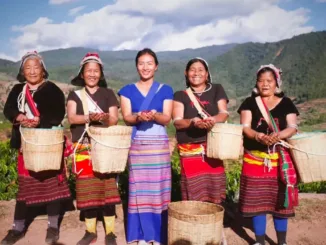 Five women in traditional Chinese dresshold hold out cupped hands holding ripe coffee cherries.