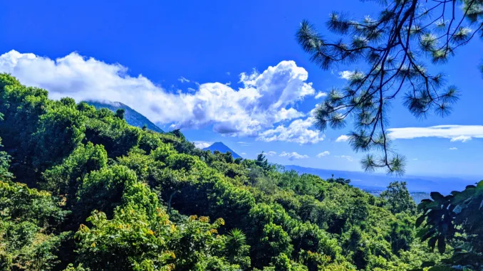 A view of vibrant gree hills on a coffee farm. A bright blue sky is dotted with white clouds near the hilltop.