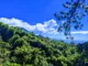 A view of vibrant gree hills on a coffee farm. A bright blue sky is dotted with white clouds near the hilltop.