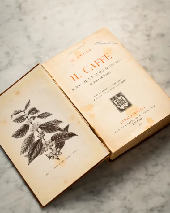 Inside antique book about coffee, with a drawing of a coffee plant, and the book title page: Il Caffe, Il suo paese e la sua importanza.