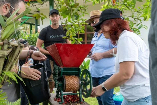 A small depulping device with a wheel crank is cranked by a person in a hat. Cascara skins fall through the bottom of the machine.