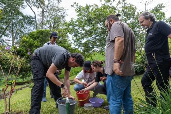 People on an origin trip sorting and rinsing coffee cherries.