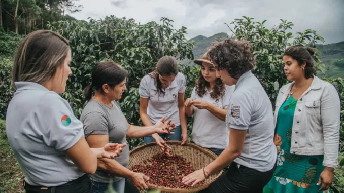 Six women gather around fresh coffee cherries in a basket. They are on a hill in a coffee farm on a cloudy day.