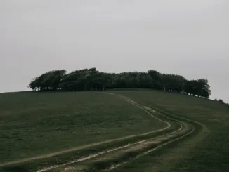 The Sussex countryside surrounding Skylark’s roastery.