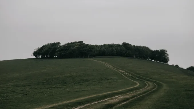 The Sussex countryside surrounding Skylark’s roastery.