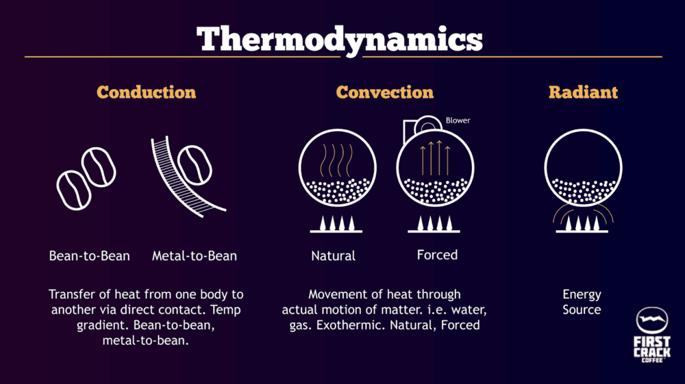 An infographic labeled "Thermodynamics" explains the differences between conduction and convection, helping the reader understand why hot air roasters may produce more consistent roasts than drum roasters.